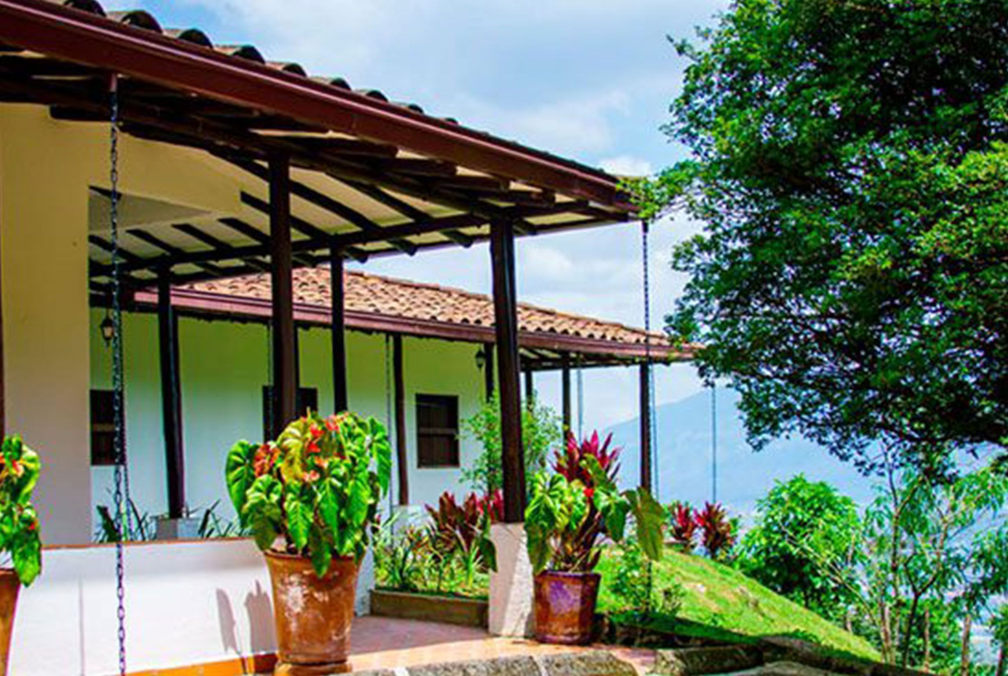 Medellín Coffee Tour Casas cafeteras