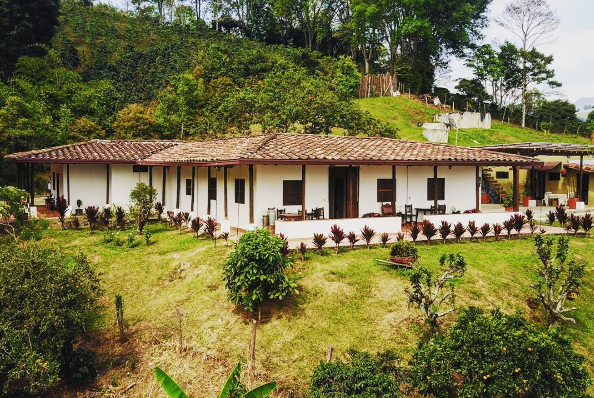 Medellín Coffee Tour Tour del Café Medellín
