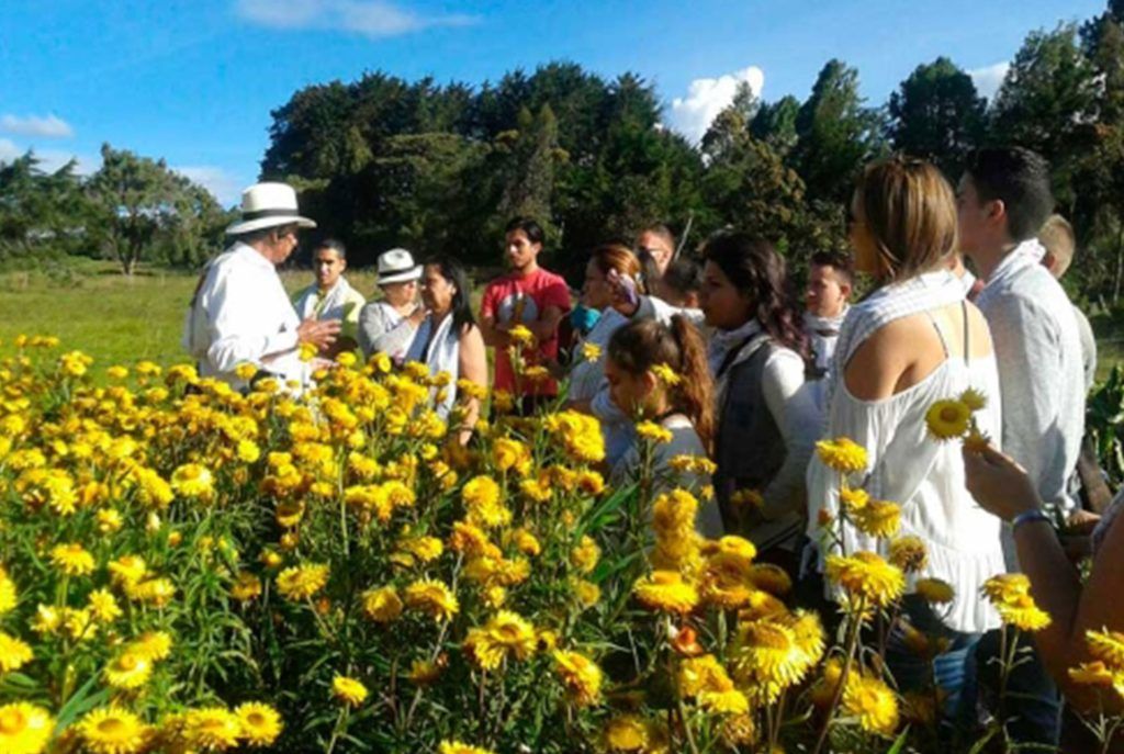 5 Tours por Antioquia Imperdibles Cultura silletera