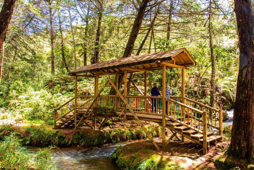 Los 10 Lugares Imperdibles en Medellín, Colombia Parque Arví turismo