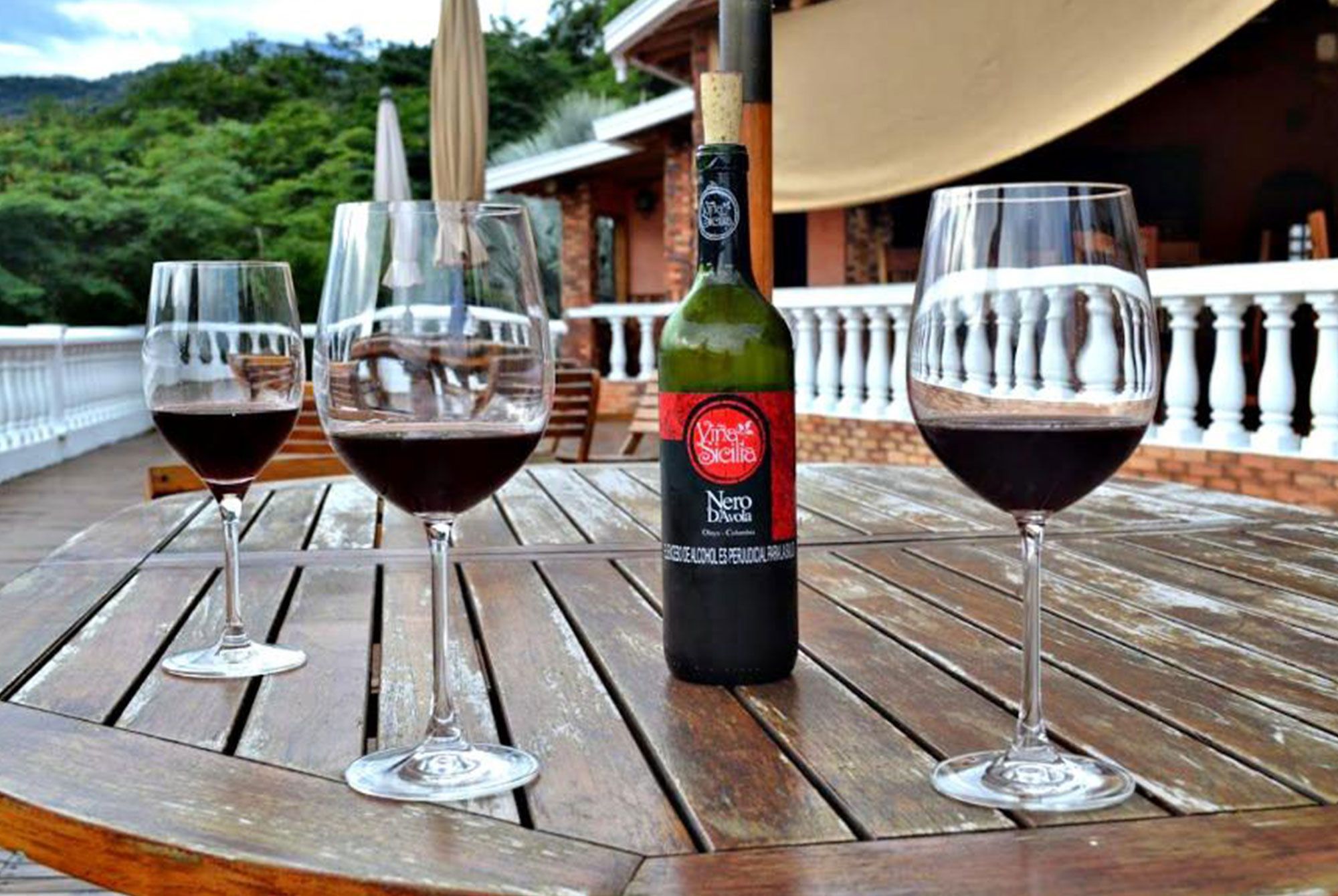 Viñedo y Cata de Vinos Tour Imagen-Romántico-y-Vino-Tour---Medellín-Tours-VIP