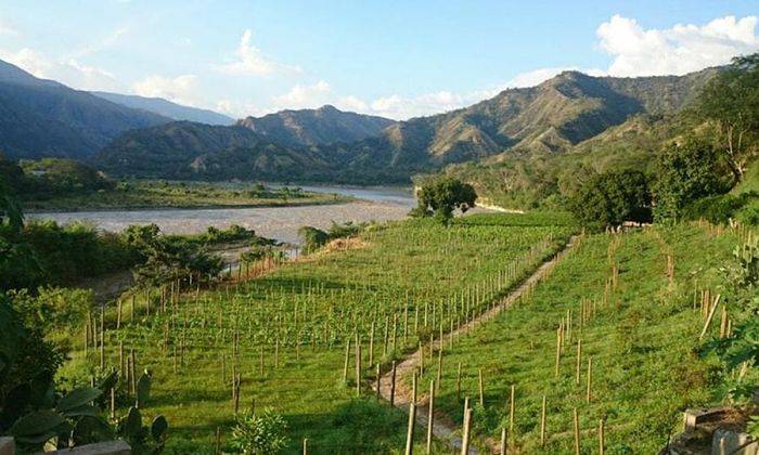 Romántico y Vino Tour Paisajes