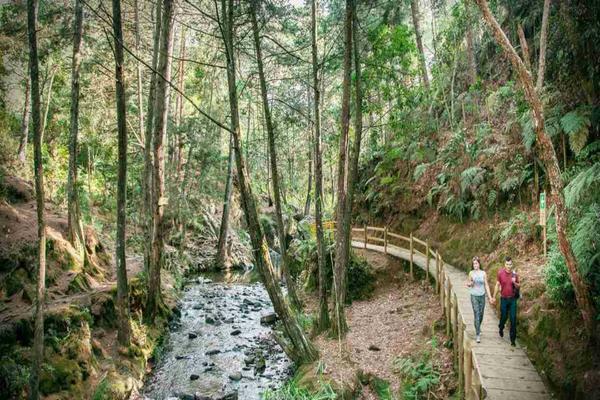 Historia del Parque Arví, Medellín Historia del Parque Arví, Medellín